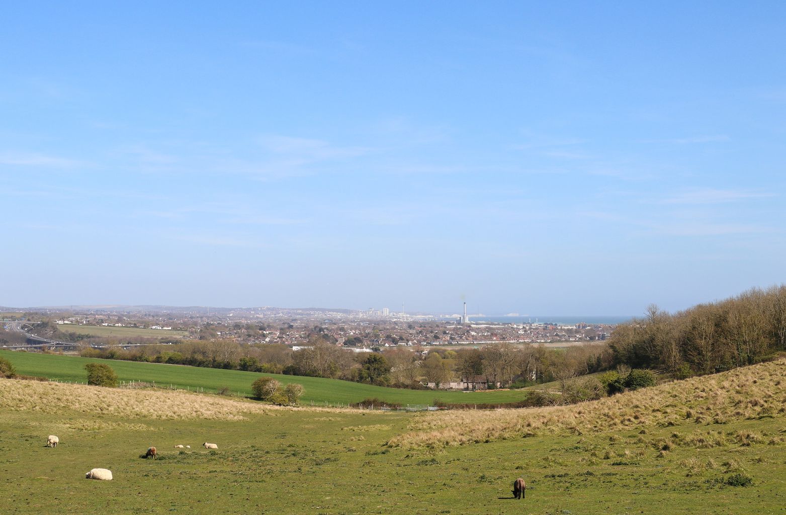 Two more parks in West Sussex awarded prestigious green flag News